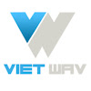 What could Vietwav buy with $115.4 thousand?