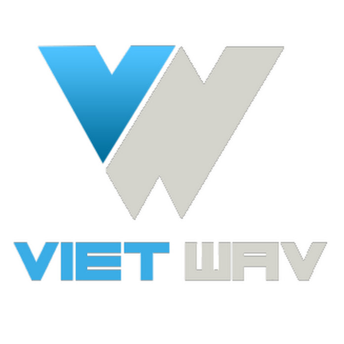Vietwav Net Worth & Earnings (2026)