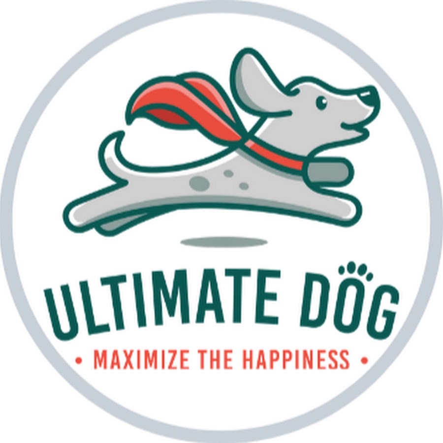 Ultimate Dog - YouTube