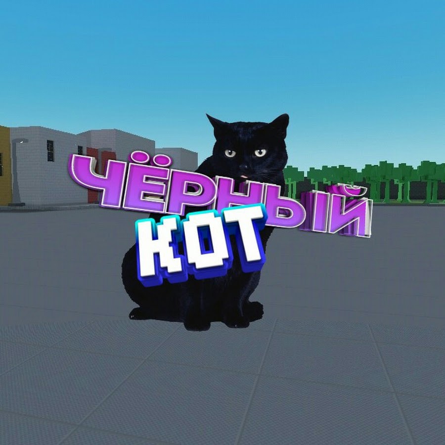 Чёрный кот канал. Канал черный кот. Коты ютуберы. Чёрный кот канал. Открытки с днем рождения с черной кошкой.