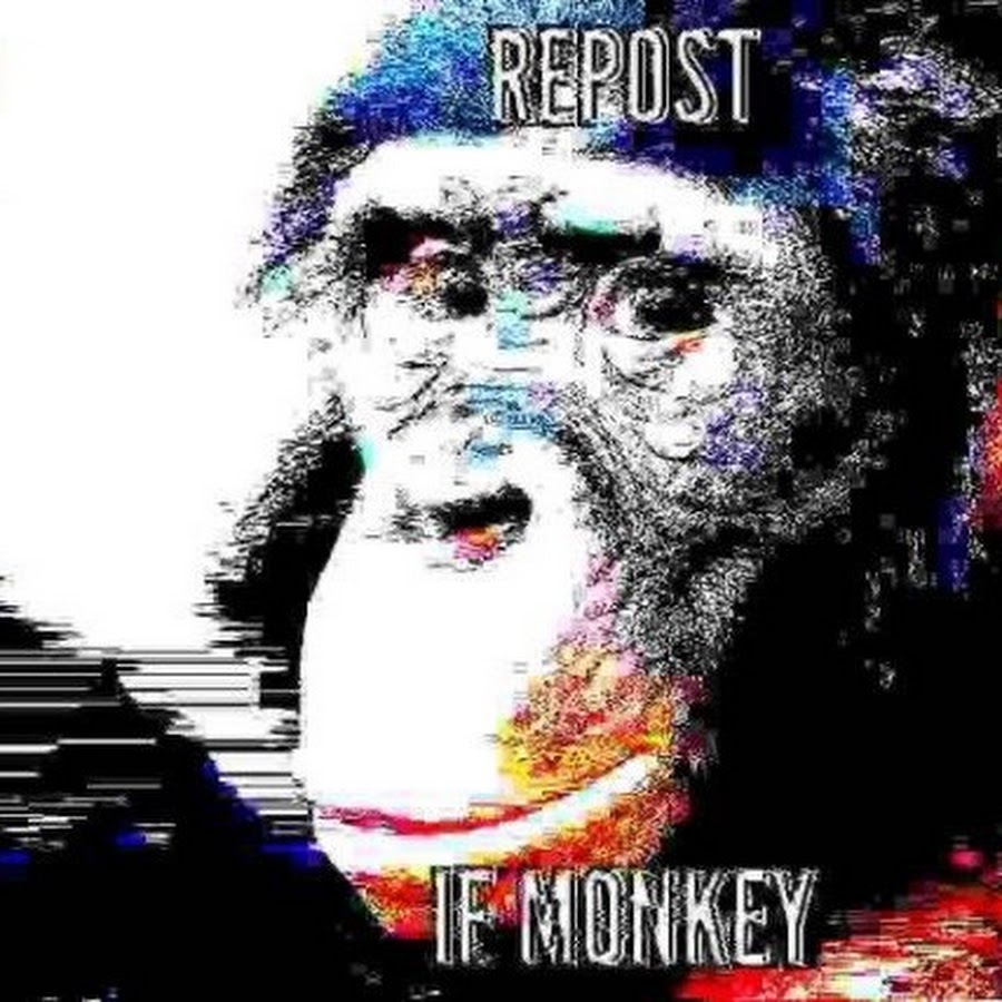 A Decent Person YouTube
