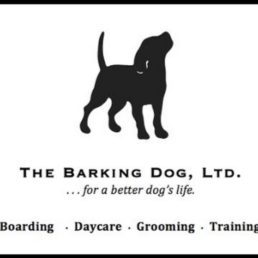 The Barking Dog Ltd - YouTube