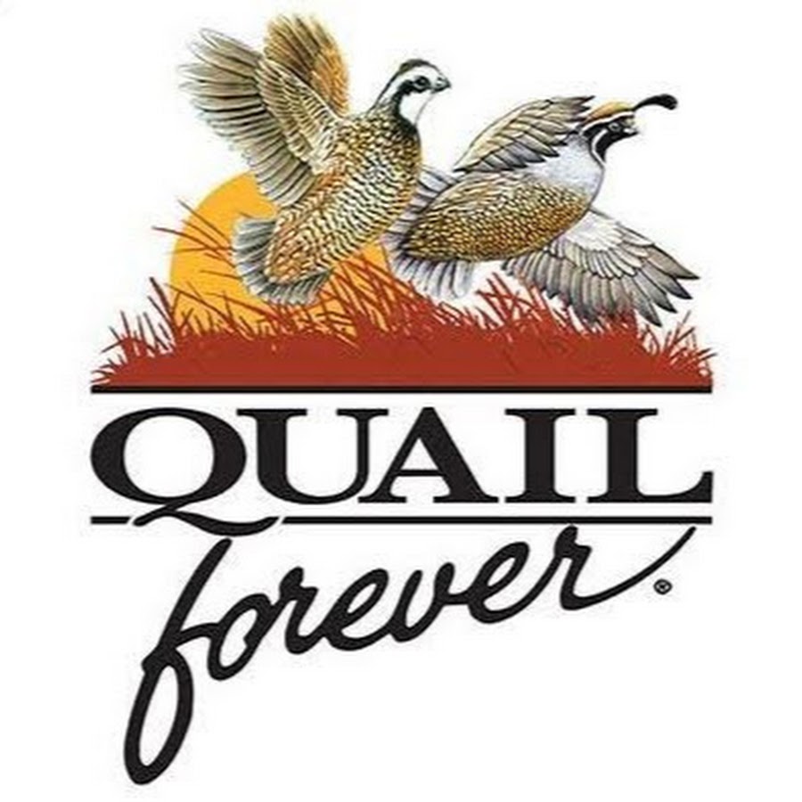 Missouri Quail Forever YouTube