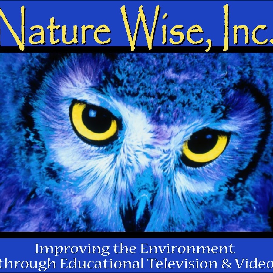 NatureWiseTV - YouTube