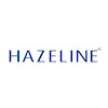 What could Hazeline Vietnam buy with $262.27 thousand?