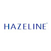 What could Hazeline Vietnam buy with $262.3 thousand?
