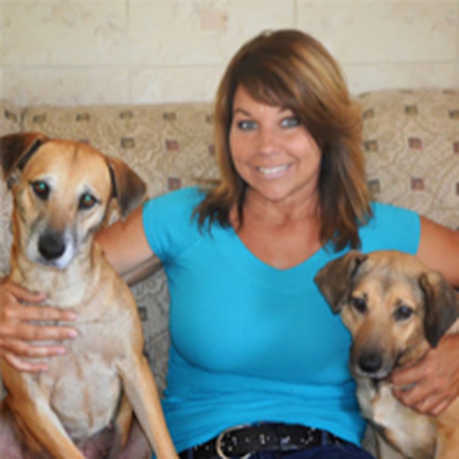 Animal Adoption at Pet Haven Rescue Sanctuary - YouTube