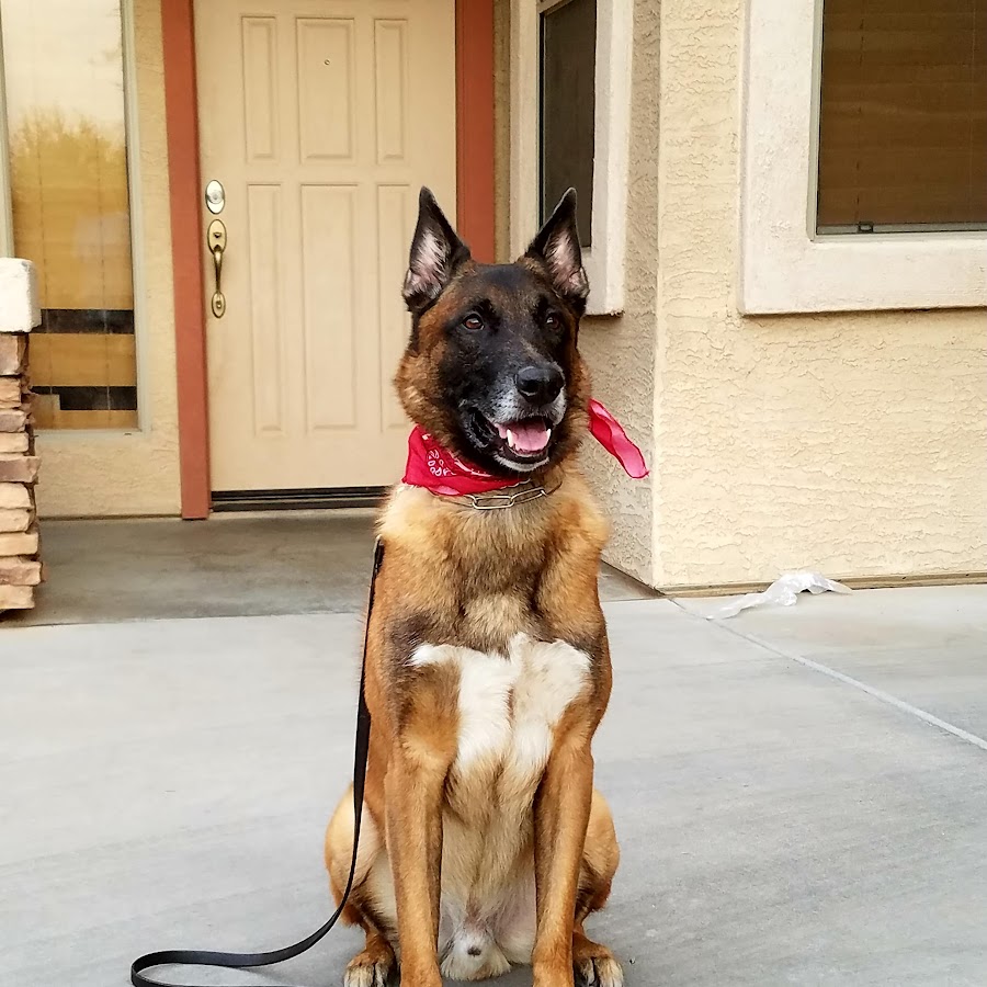 Harris Rubin - YouTube