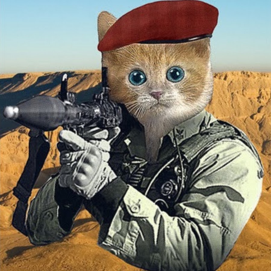 Кот с автоматом рисунок