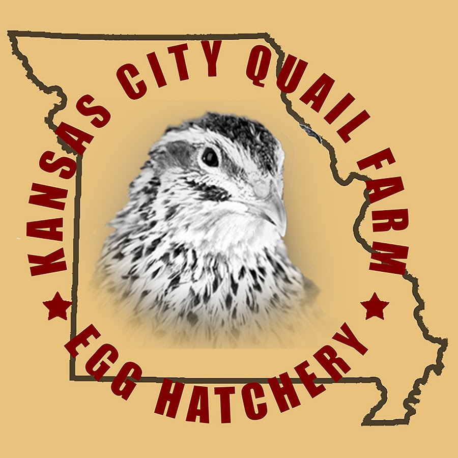 Kansas City Quail Farm - YouTube