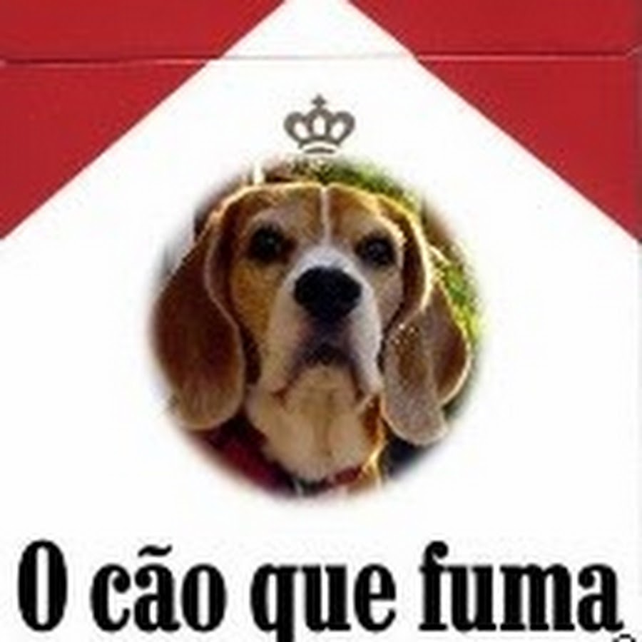 O Cão Que Fuma Youtube