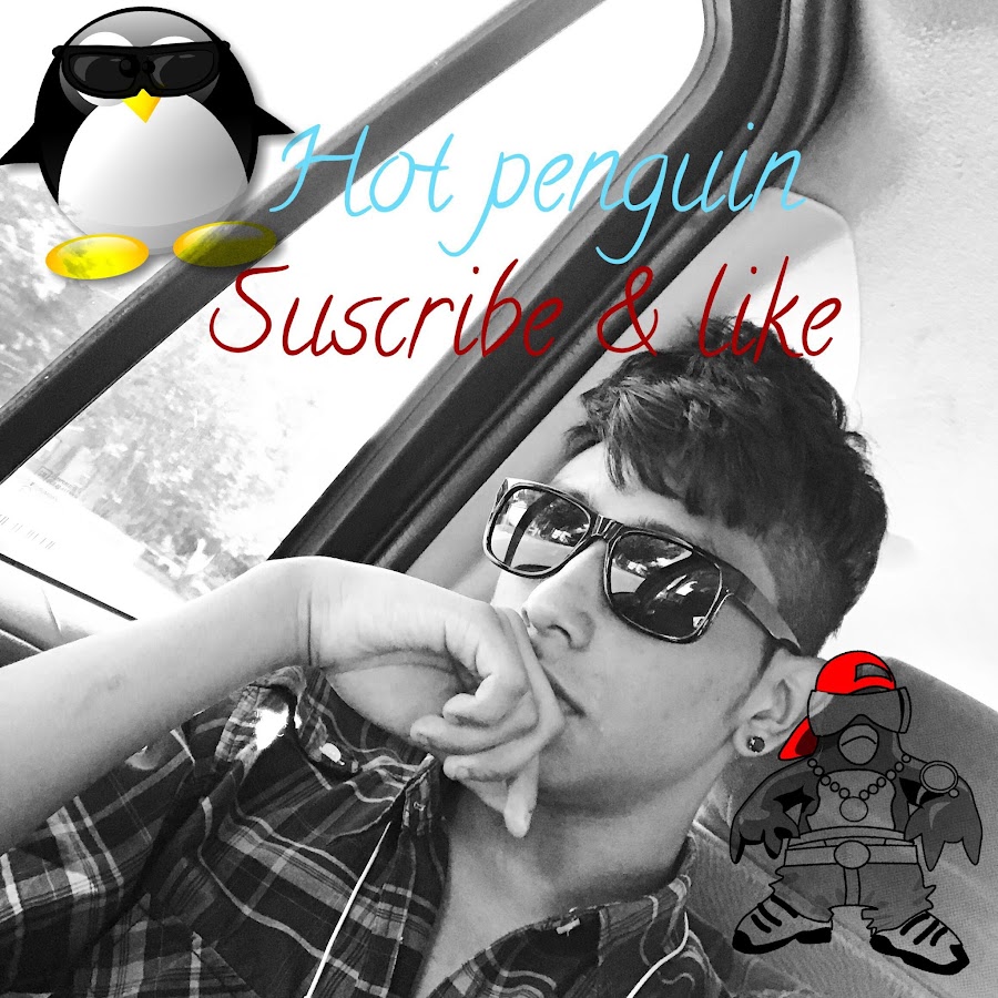Hot Penguin - YouTube