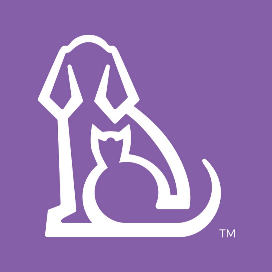 Ryan's Pet Supplies YouTube