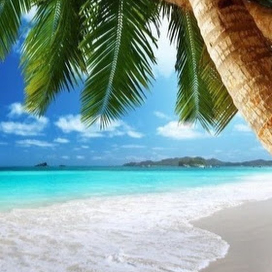 Paul Racicot - YouTube