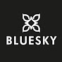 BlueskyProducts