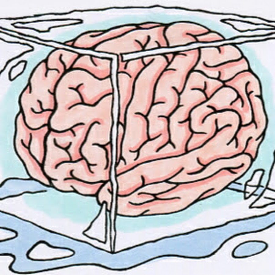 Iced Brain YouTube