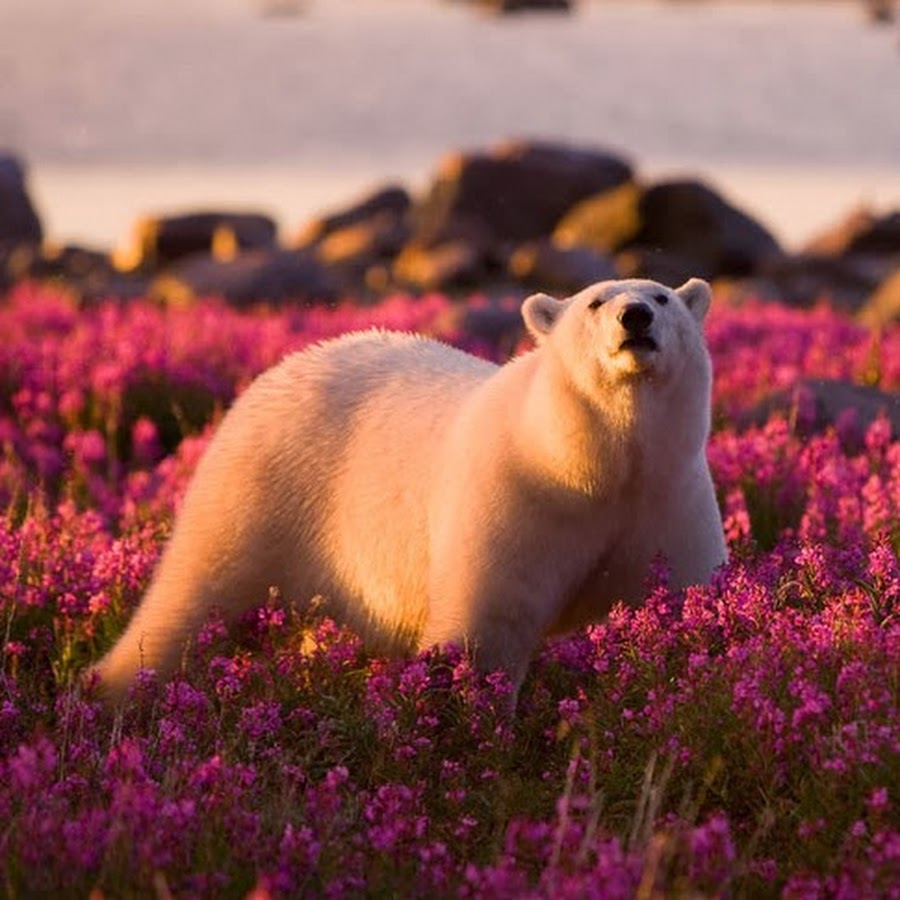 KacySeptember - YouTube