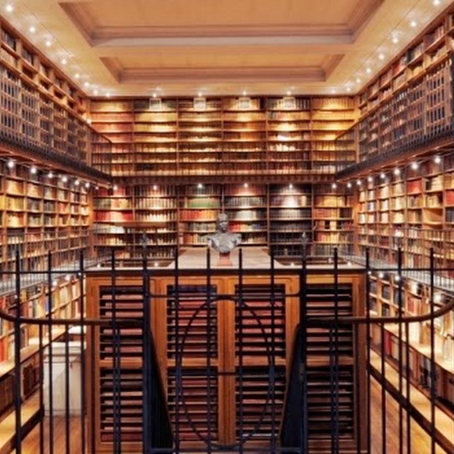 Le Rat De Bibliothèque YouTube