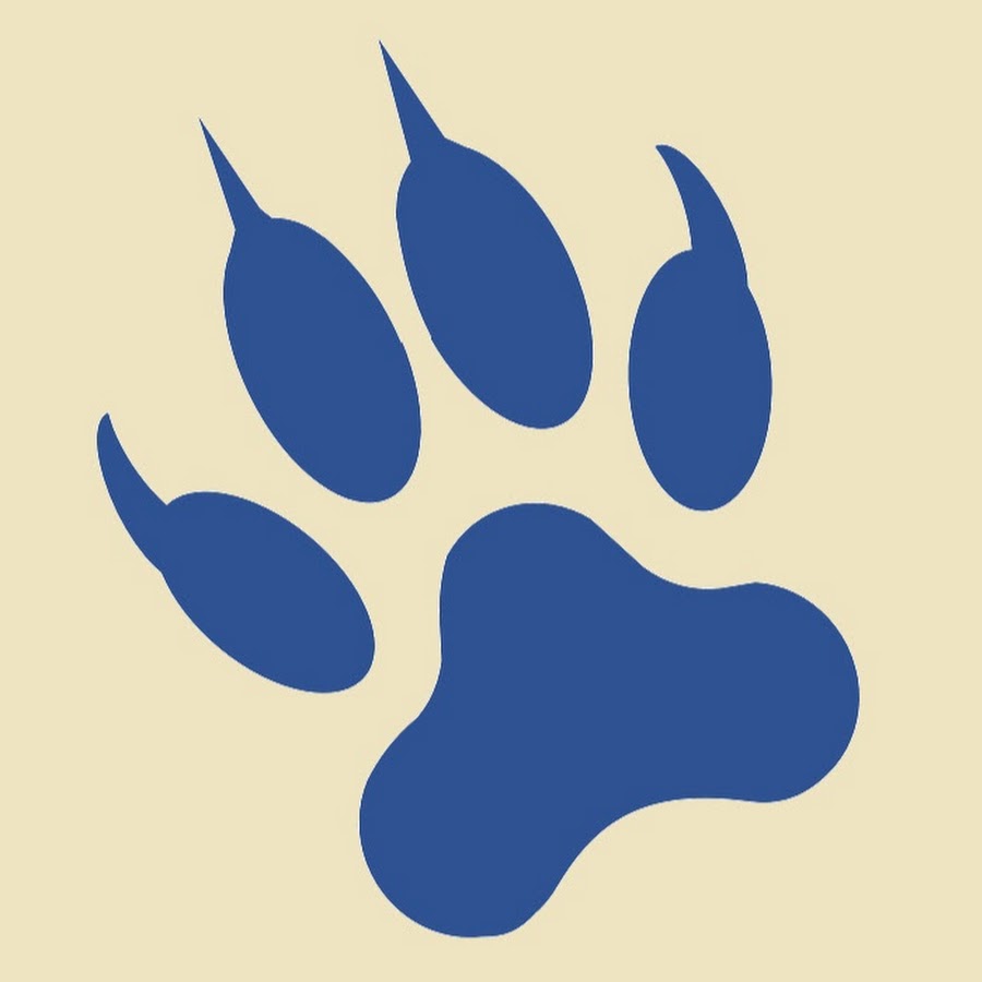 Рисунок следы тигра