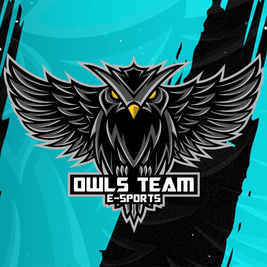 Owls Team YouTube