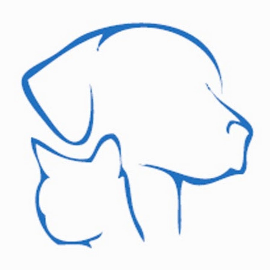 Собака в профиль рисунок для детей