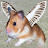 hamstersofdoom avatar