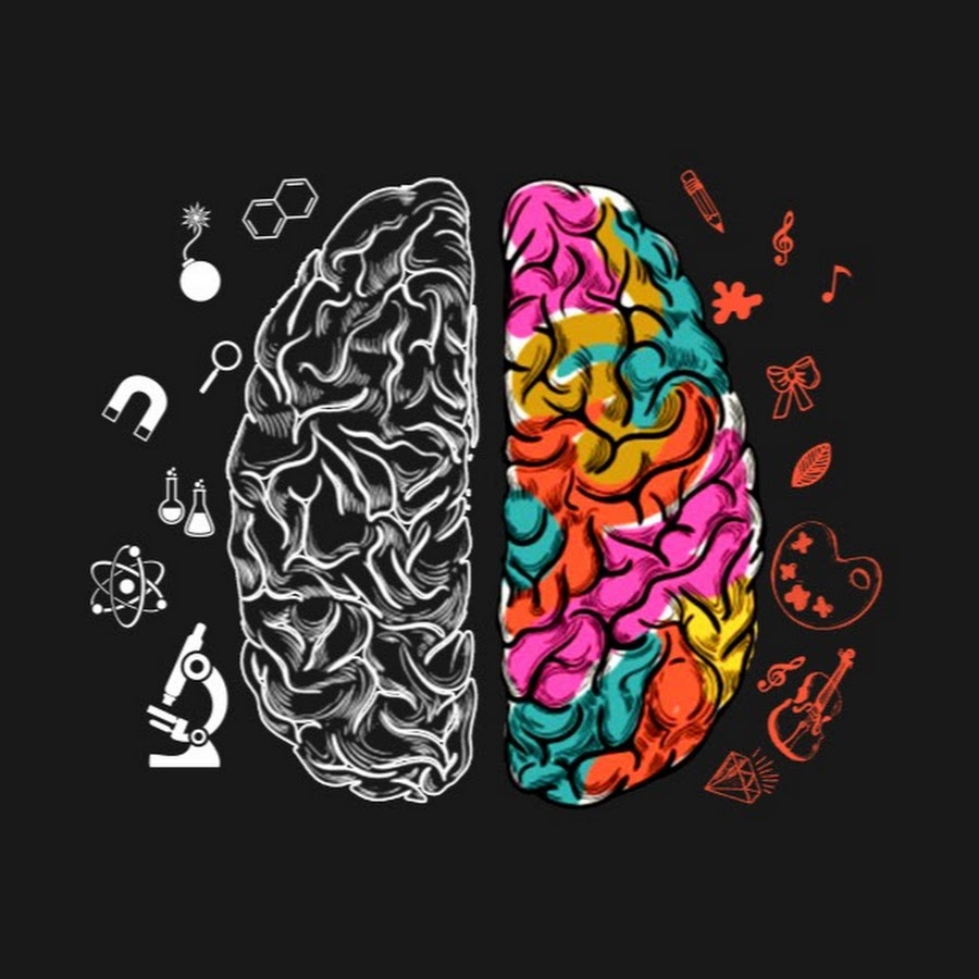 Colored brains. @Colorful_Brain Instagram.