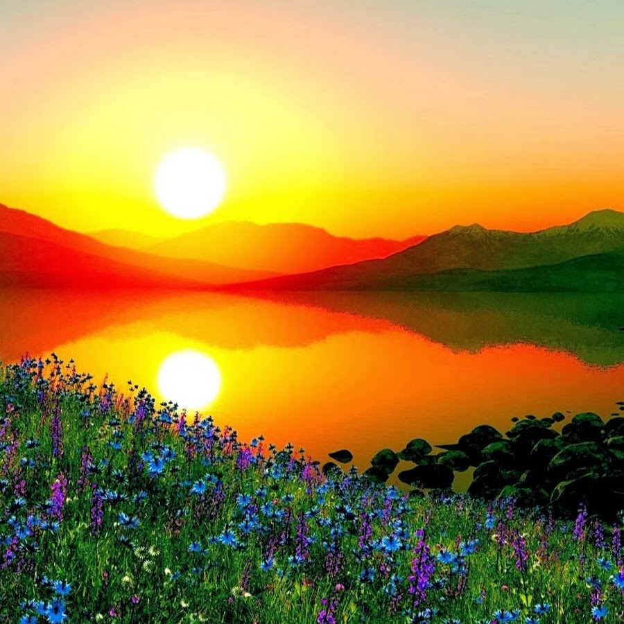Good morning nature