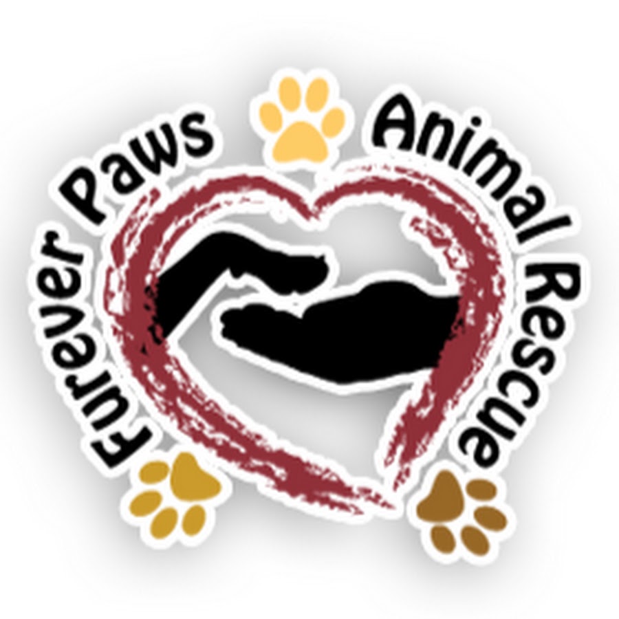 Furever Paws Animal Rescue - YouTube