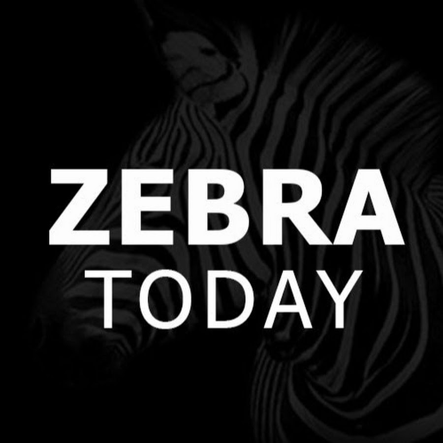 Zebra Today - YouTube