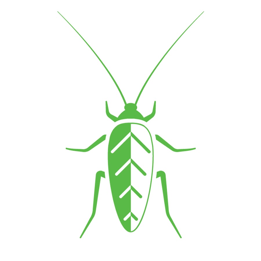 EcoShield Pest Control YouTube