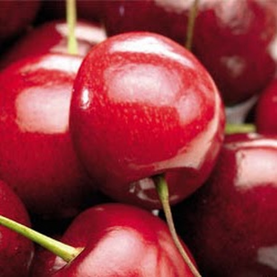 Cherry Thorn YouTube