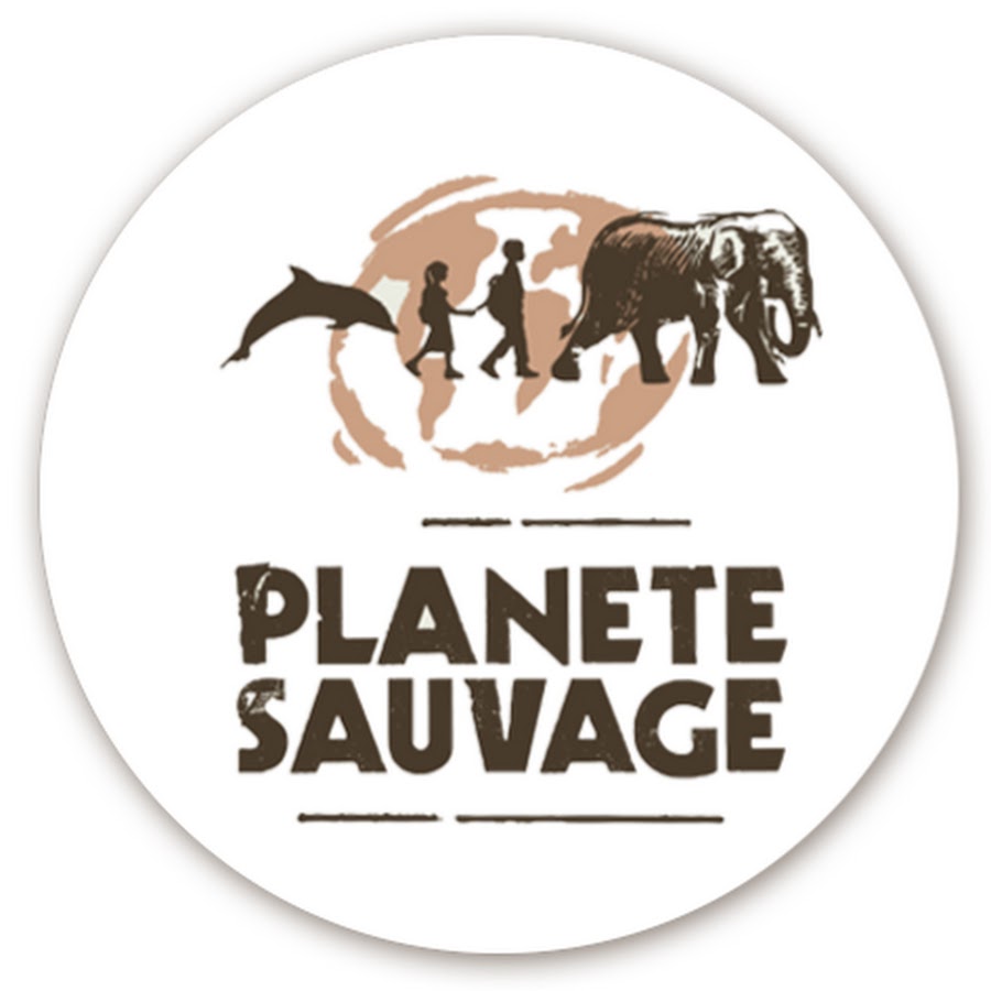 Planete Sauvage Film Streaming Planète Sauvage - YouTube