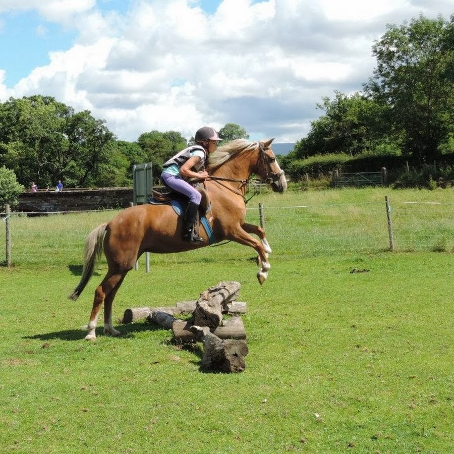 Bank House Equestrian YouTube