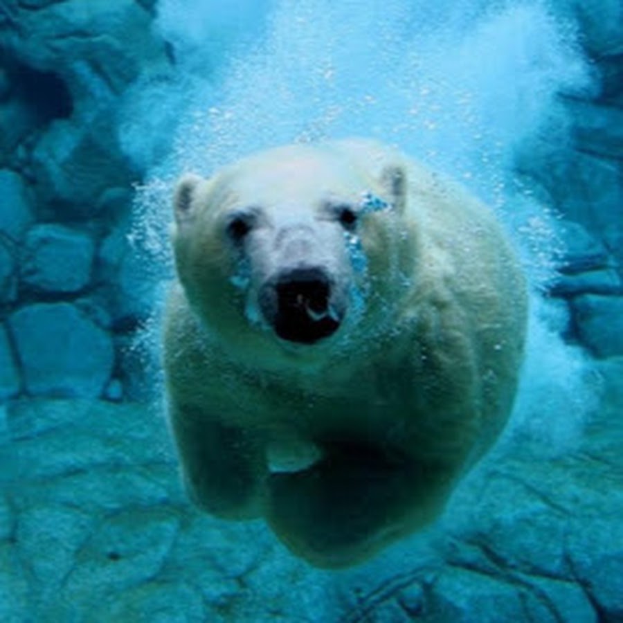 Family Gamer pro. - YouTube