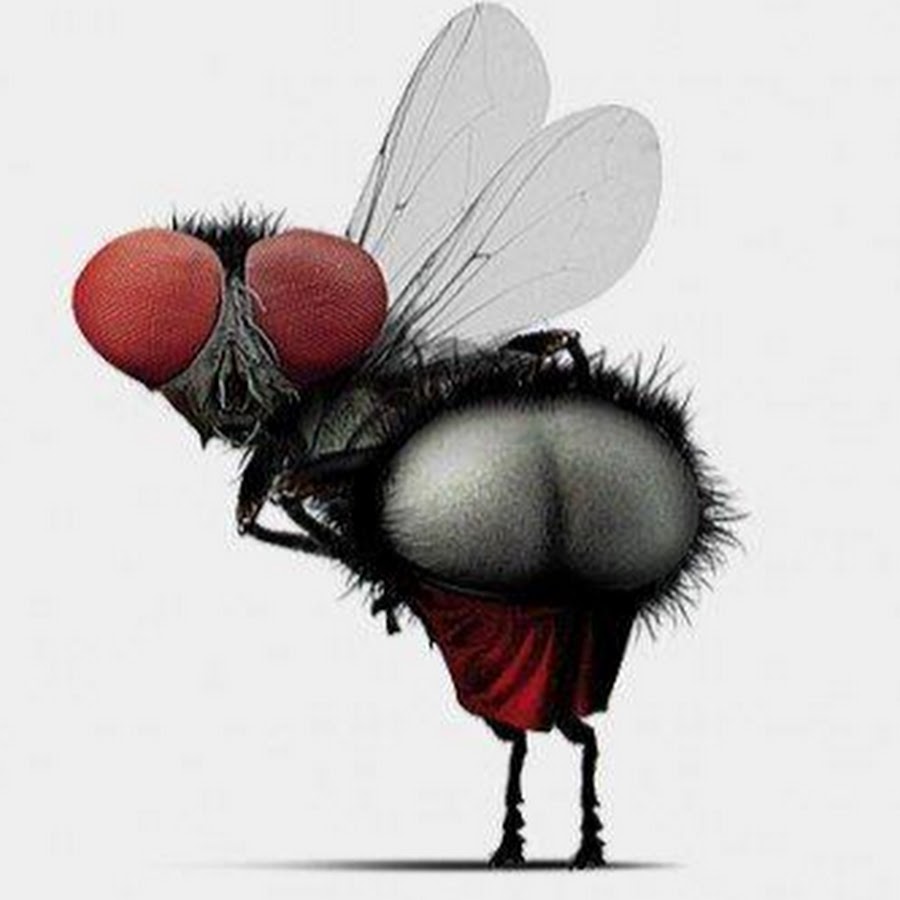 AATXAJzhNnJYc_Jqqk-3FwMa2HbyXI8G8bai_5xmsBby0A=s900-c-k-c0x00ffffff-no-rj