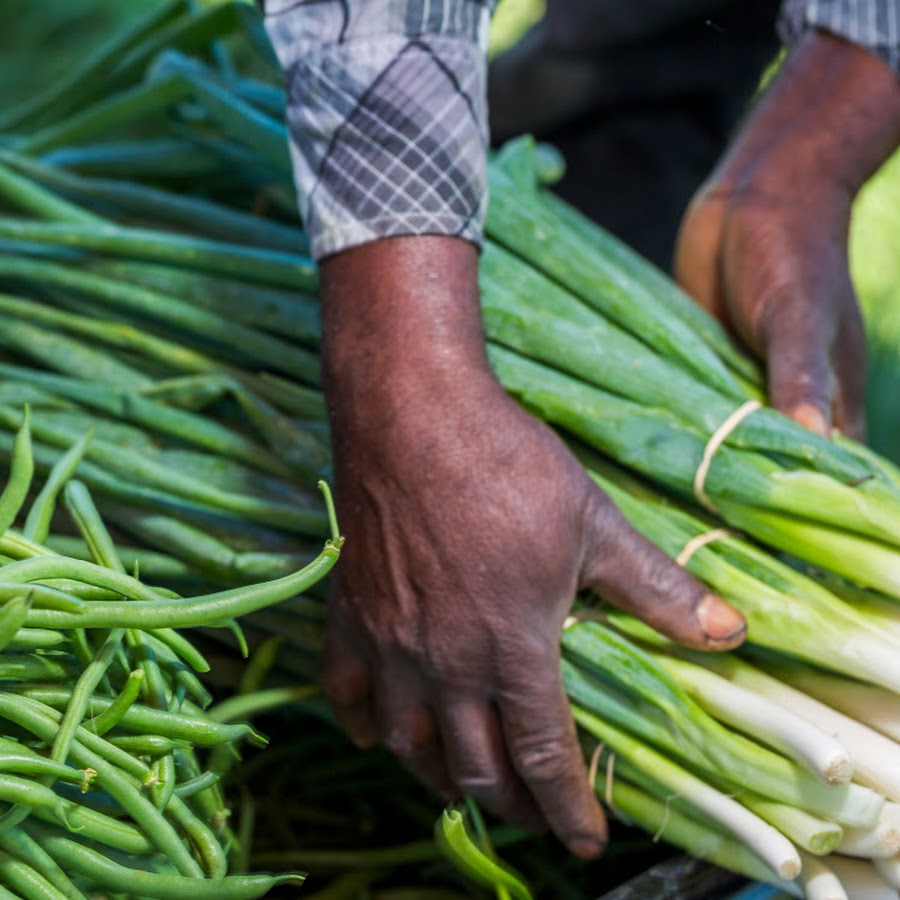 Plant It Forward Farms YouTube