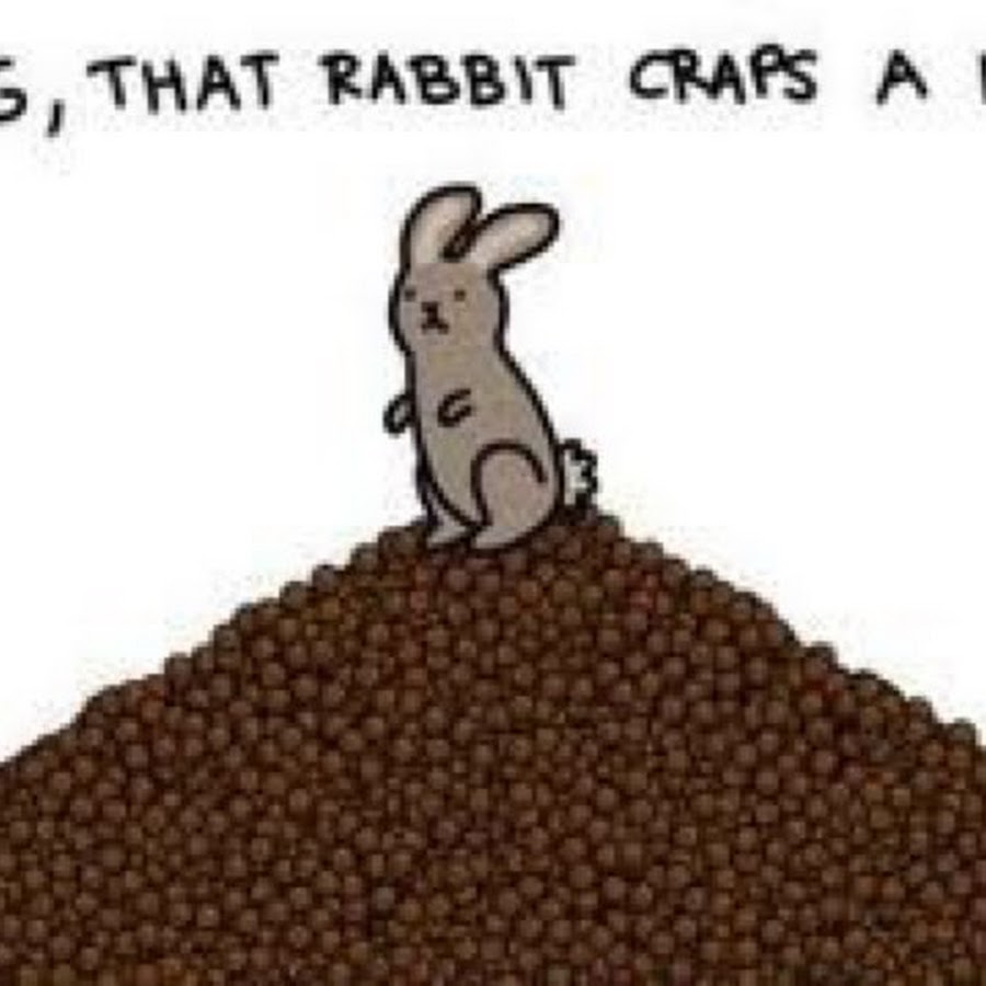 Pooping Bunny YouTube