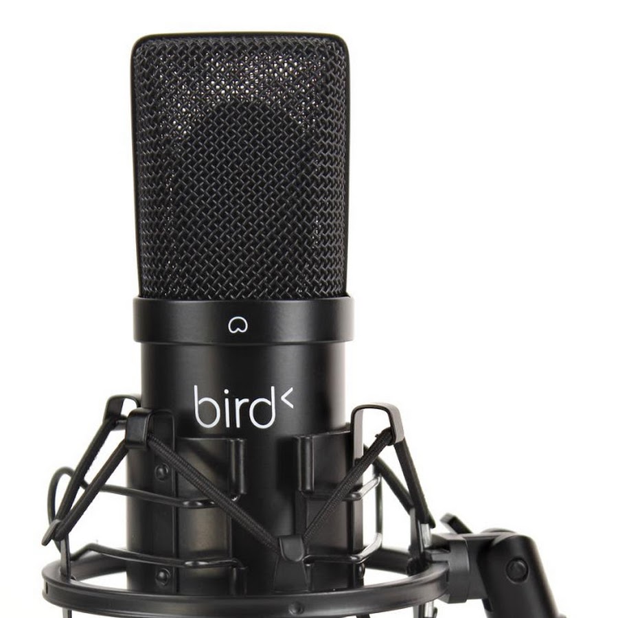 show leo radio 55 YouTube