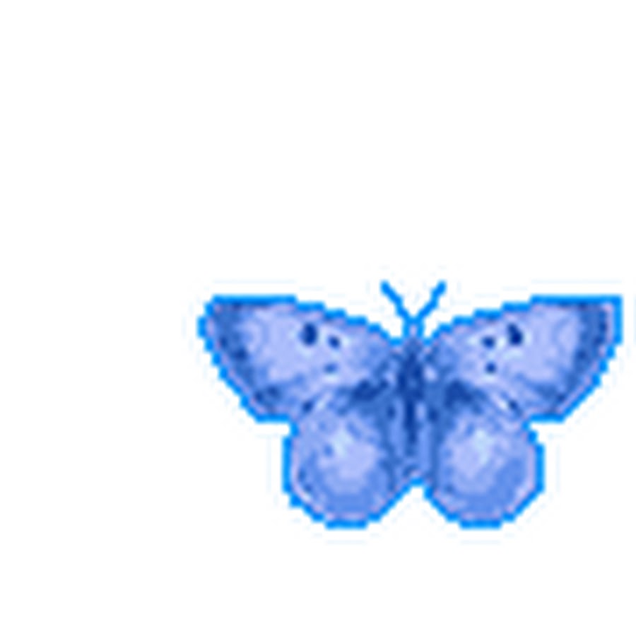 Бабочка анимация для презентации