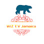 Wiz T.V. Jamaica (wiz-t-v-jamaica)
