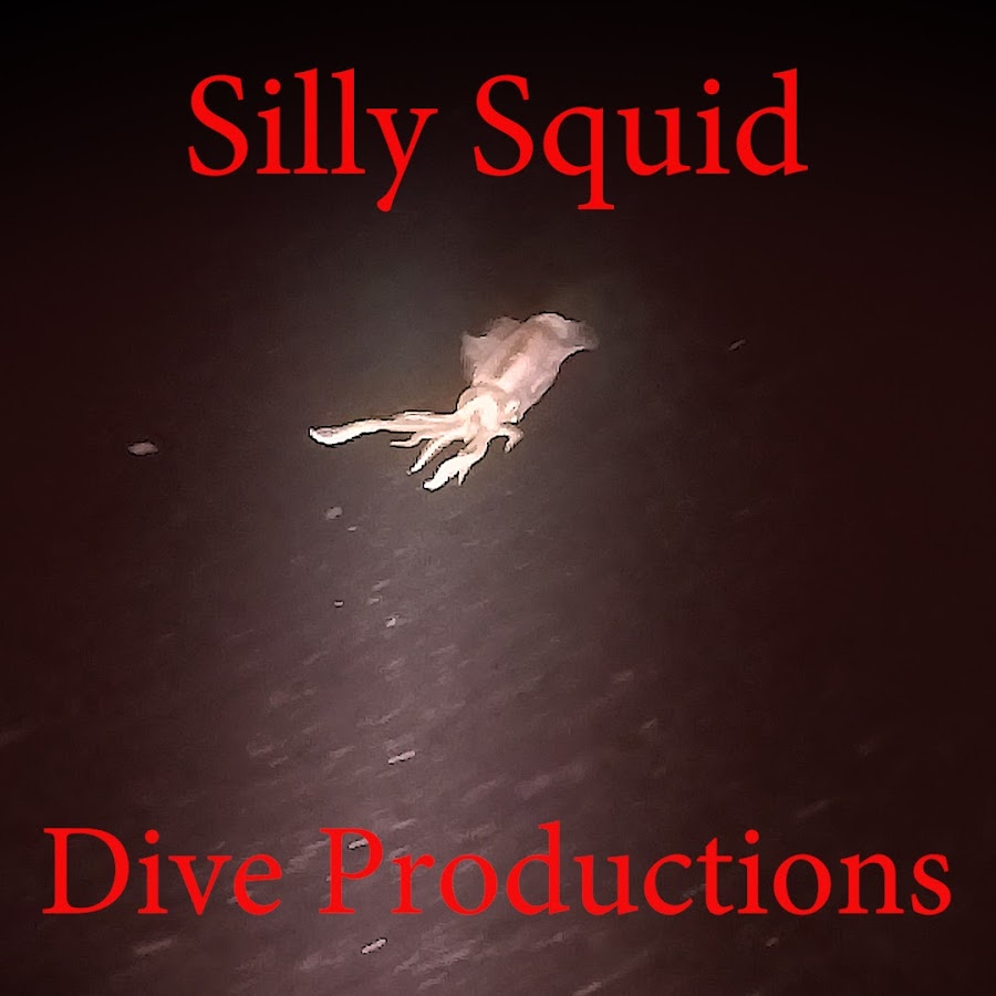 silly squid dive productions YouTube