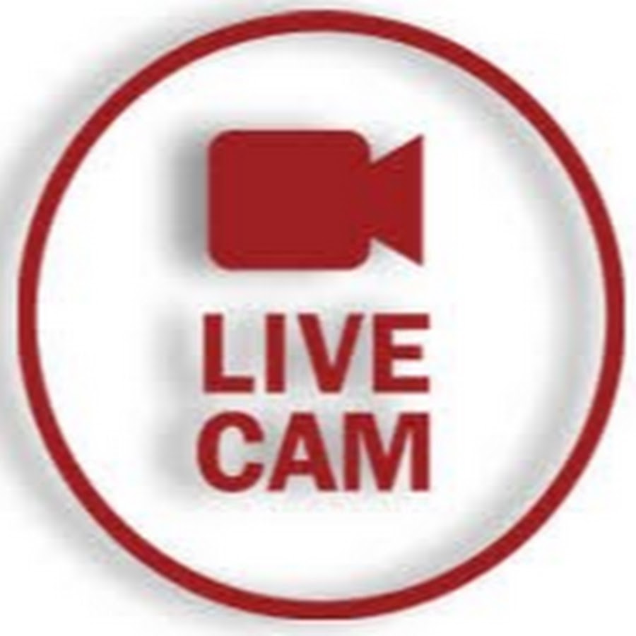 "tiktok analytics" "live cam" "...
