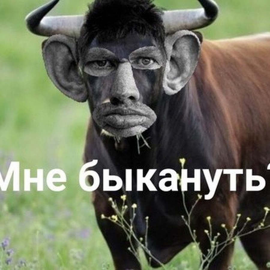 новенький быканул на державшего в страхе