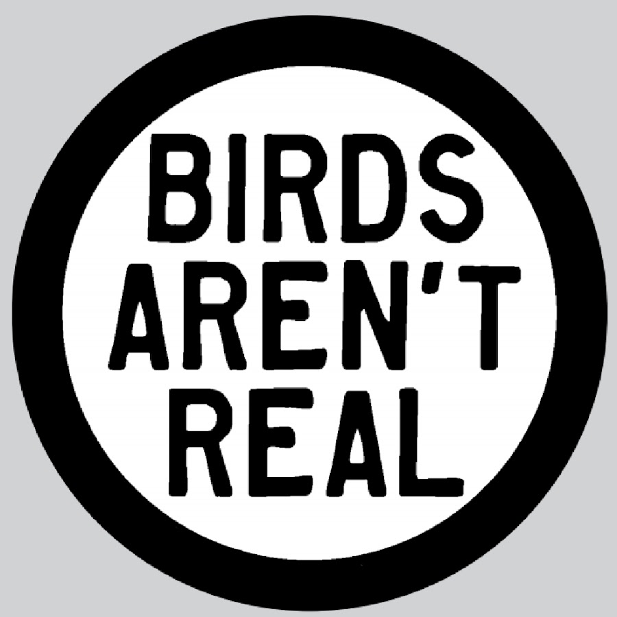 birds-aren-t-real-youtube