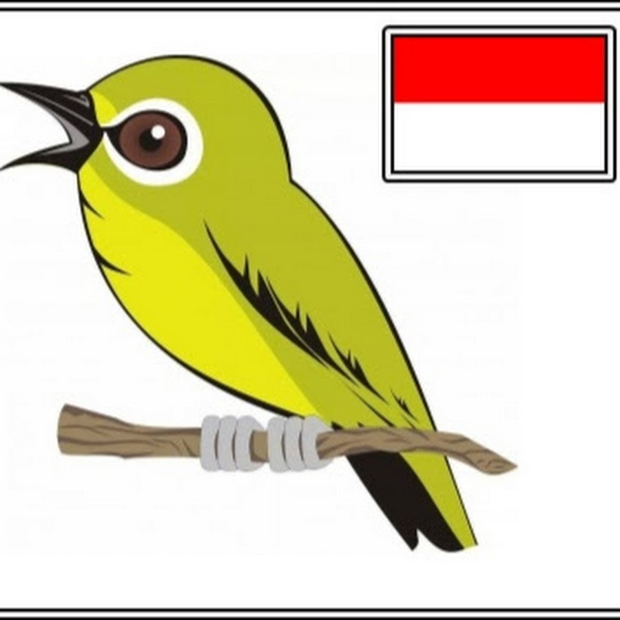 Kicau Mania Indonesia 