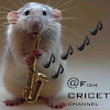 fishcricet