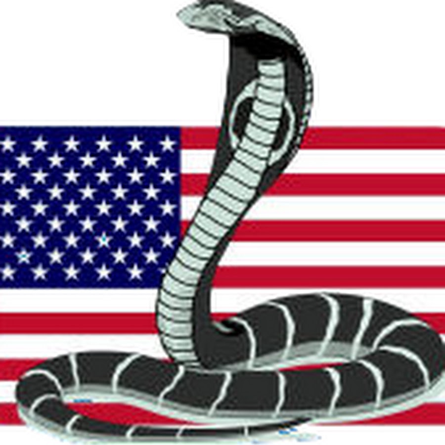 COBRA Solutions, Inc. YouTube