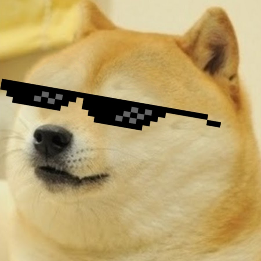 Swaggy Dog 