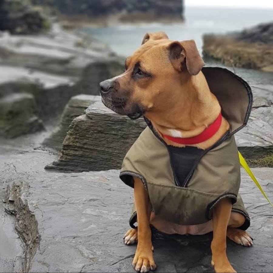 Dance & Trance Classics YouTube